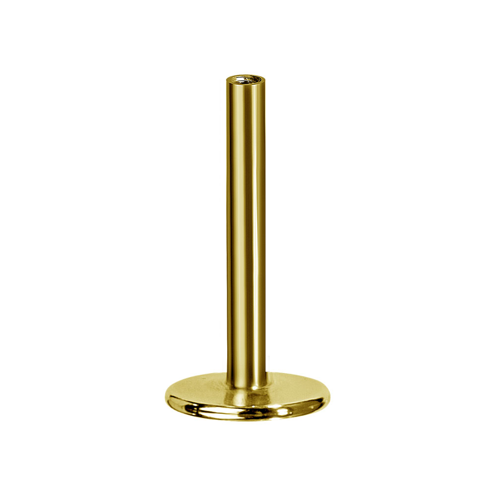 24K GOLD PVD TITANIUM INTERNAL LABRET PINS