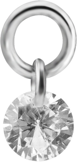 SS316L CHARM FOR HINGED SEGMENT RINGS