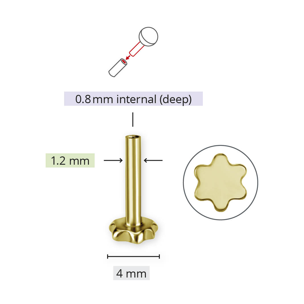 18K GOLD PVD TITANIUM THREADLESS LABRET PINS W.FLOWER PLATE