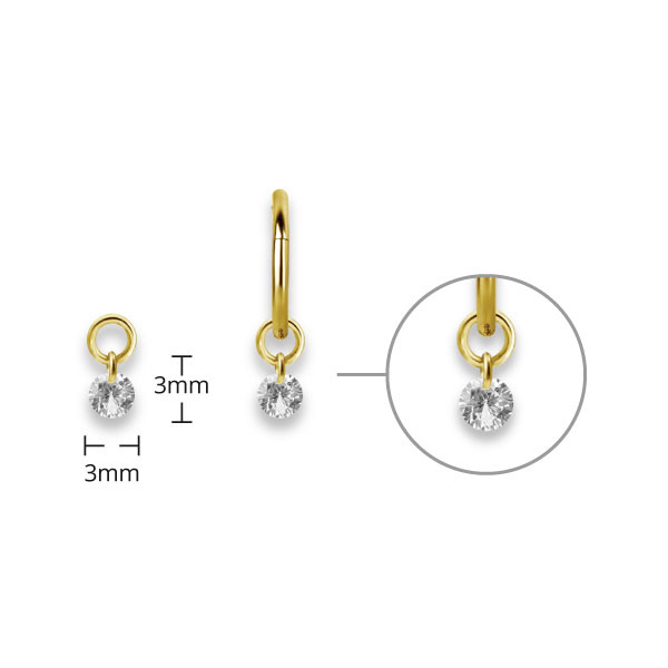 24K GOLD PVD SS316L CHARM FOR HINGED SEGMENT RING