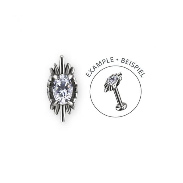SS316L INTERNAL MICRO ATTACHMENT SET W. PREMIUM ZIRCONIA
