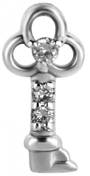 SS316L CHARM FOR HINGE SEGMENT RING (PAVE KEY)
