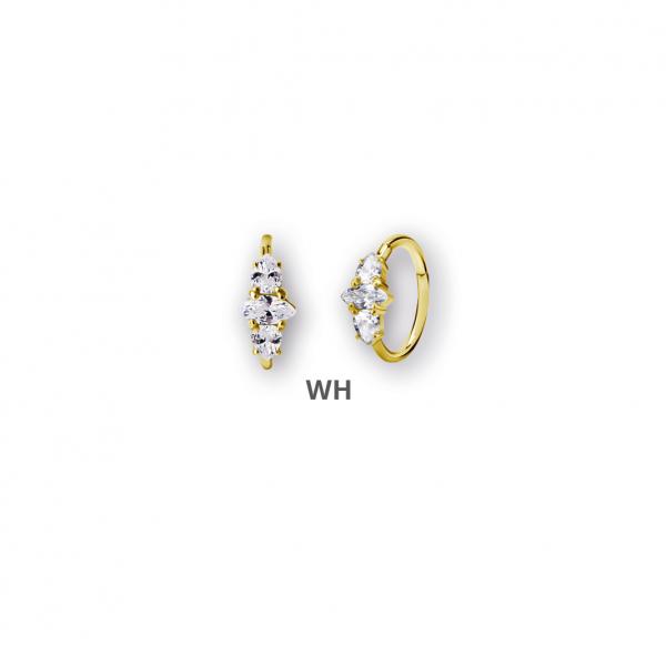 24K GOLD PVD SS316L HINGED RING CLICKER SET W.CUBIC ZIRCONIA