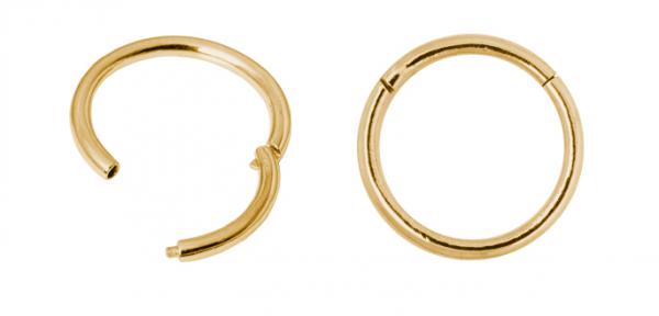 24K GOLD PVD SS316L HINGED SEGMENT RING